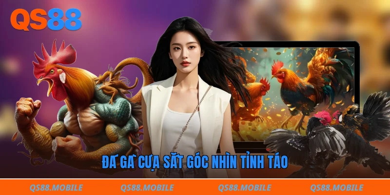 Đá gà cựa sắt góc nhìn tỉnh táo